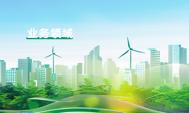 业务领域